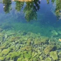 منزل دو طبقه و زمین چهار دیواری فقط معاوضه با منزل