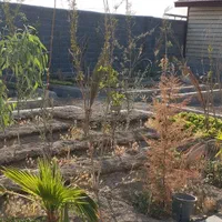 فروش باغ ویلا 500متری واقع درزردنجان،منشیان|فروش خانه و ویلا|اصفهان, براآن شمالی|دیوار