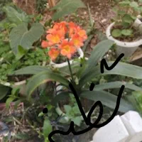 رهن-آپارتمان-خ-فیاض-75متر-دوخواب-ط-اول