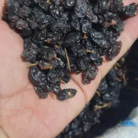 مویز آفتاب خشک|خوردنی و آشامیدنی|پاکدشت, پاکدشت (مامازند)|دیوار