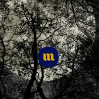 بانصب میلی و احراز هویت تا۷۰۰هزار تومان دریافت کن