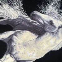 تابلو فرش ۶۰ در ۹۰|تابلو فرش|سهند, |دیوار