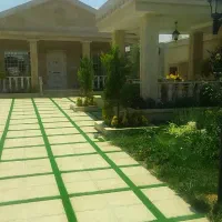 چمن مصنوعی آسیا|گل مصنوعی|مشهد, شهرک لشکر (شهرک غرب)|دیوار