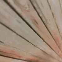 سکه ربع گم شده در محدوده پونک فردوسی مجیدیه