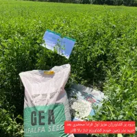 مخصوص منطقه گرم سیر و کشاورزان حرفه ی|خدمات باغبانی و درختکاری|دوگنبدان, |دیوار