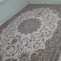 یک جفت فرش ۱۲ متری