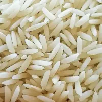 برنج هاشمی عمده با شرایط نقد و چک