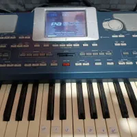 ارگ کرگ pa800 سری ۶۰۳