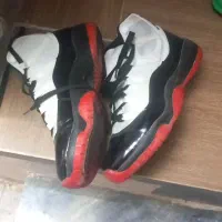 کفش|کیف، کفش، کمربند|گرگان, |دیوار