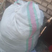 پشم گوسفند دو رنگ