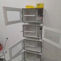 دستگاه جوجه کشی|لوازم جانبی حیوانات|بیرجند, |دیوار