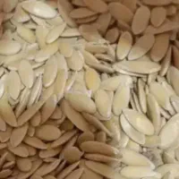 دانه خربزه تمیز