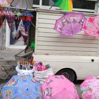 چتربچهگانههمهمدل|اسباببازی|مشکیندشت, |دیوار