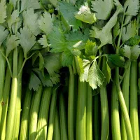 انواع سبزی شسته شده