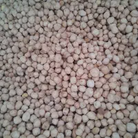 نخود تازه امسال