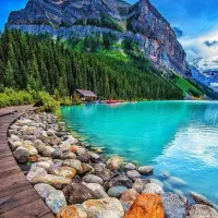 تنهاییتون رو با چی پر می‌کنید