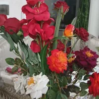 گل مصنوعی|گل مصنوعی|خوی, |دیوار