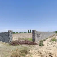فروش زمین باغی فوری فوری