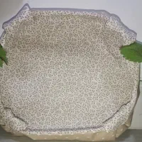 جا نان
