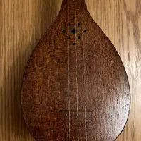 سه تار استاد مازیار ملکشاهی