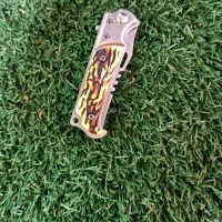 چاقو زامن دار لجنی|کوهنوردی و کمپینگ|سقز, |دیوار