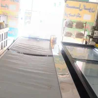 فریزر جزیره و یخچال جزیره|فروشگاه و مغازه|تهران, زعفرانیه|دیوار