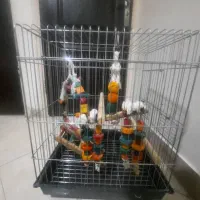 قفس بزرگ پرندگان به همراه اسباب بازی