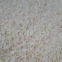 برنج دم سیاه کلات