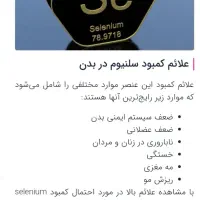 تخم مرغ محلی اصل گلپایگانی|خوردنی و آشامیدنی|شیراز, بازار|دیوار