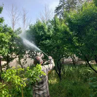 باغبانی و سمپاشی درختان در تمام نقاط شهر|خدمات باغبانی و درختکاری|مشهد, توس (بلوار توس)|دیوار