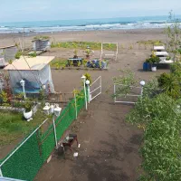 اجاره کلبه ساحلی