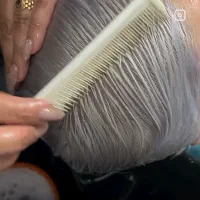 رنگ  مو . لایت . بلوند