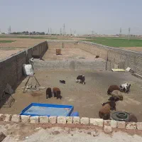 اجاره انباری|اجارهٔ دفتر صنعتی، کشاورزی، تجاری|نیشابور, ریوند|دیوار