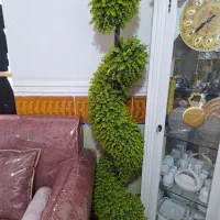 درختچه وساعت