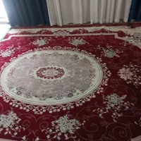 غالی ۱۲متری