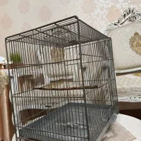 قفس سهره سایز ۴ قدیمی