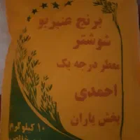برنج عنبر بو شوشتر درجه یک ایرانی