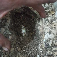 نشت یابی . تشخیص نشتی آب|خدمات پیشه و مهارت|بیرجند, |دیوار