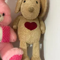 ۶ تا عروسک|اسباب‌بازی بچه|رودسر, |دیوار