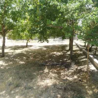 فروش باغ ویلایی دراسکو|فروش زمین و ملک کلنگی|اسکو, |دیوار