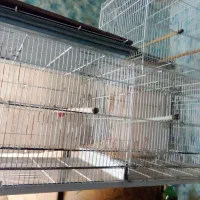 قفس پرون ۱۲۸ سانتی|لوازم جانبی حیوانات|مشهد, امیریه|دیوار