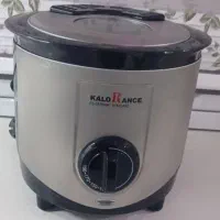 سرخکن با روغن