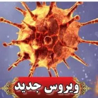 بانوان وآموزشش آنلاین سبک زندگی سالم رایگان|خدمات آموزشی|کرمان, |دیوار