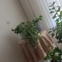 میز‌خاطره‌همراه‌رو‌میزی