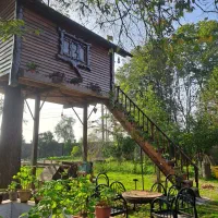 نقاش مبل/کلبه سوئیسی/چوب/