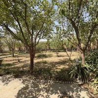 اجاره سالیانه و یا ماهیانه باغ ویلا|اجارهٔ کوتاه‌مدت ویلا و باغ|گلبهار, شهر جدید گلبهار|دیوار