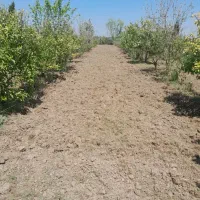 فروش یا معاوضه با خودرو خونه باغ ۱۸۰۰متری|فروش زمین و ملک کلنگی|آکند, |دیوار