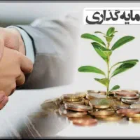 ۸۰۰میلیون سرمایه دارم (پیشنهاد همکاری )