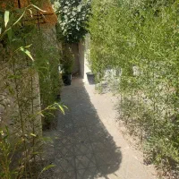 فروش کامل کافه فست فود|فروش مغازه و غرفه|مرودشت, مسجد رسول‎|دیوار