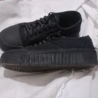 یک جفت کفش که فقط ۲بارپوشیده شده|کیف، کفش، کمربند|گلبهار, شهر جدید گلبهار|دیوار